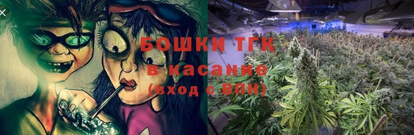 прущие грибы Нефтегорск