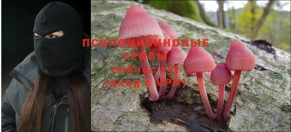 прущие грибы Нефтегорск